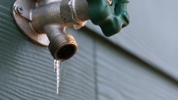 Best Plumbing Installation Services  in Montgomery, MN
